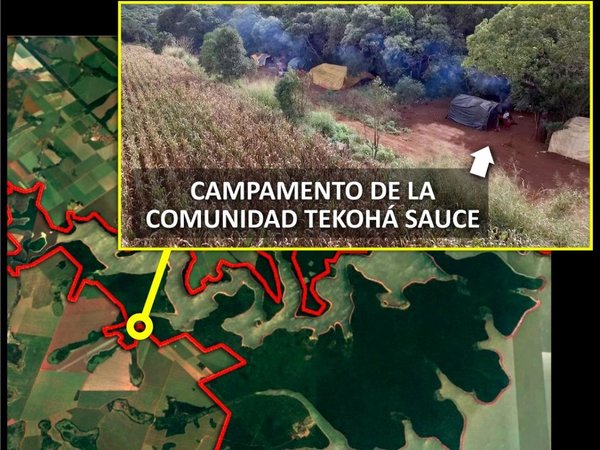 Sojero que expulsó a indígenas usa tierra pública, dice estudio