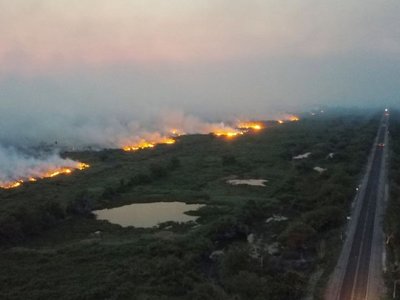 Incendios de grandes proporciones devoran parte de Pantanal brasileño