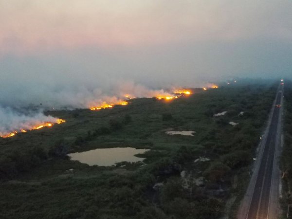 Incendios de grandes proporciones devoran parte de Pantanal brasileño