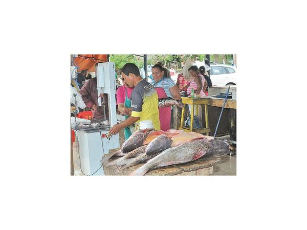 Comercialización de pescados continúa hoy en la Costanera