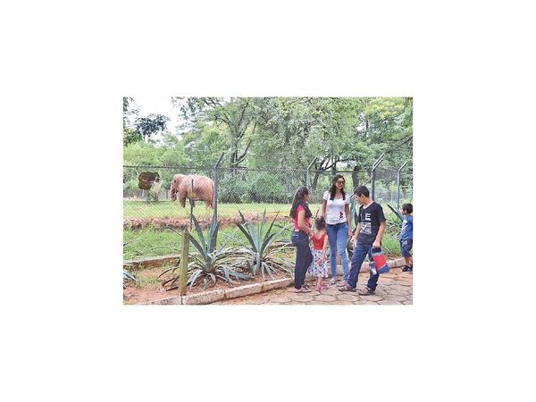 Piden bocas hidrantes para el Botánico y el cerro Lambaré