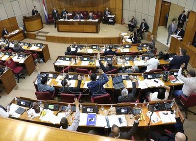 El Senado rechaza polémica expropiación