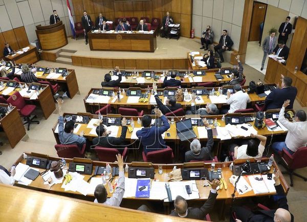 El Senado rechaza polémica expropiación
