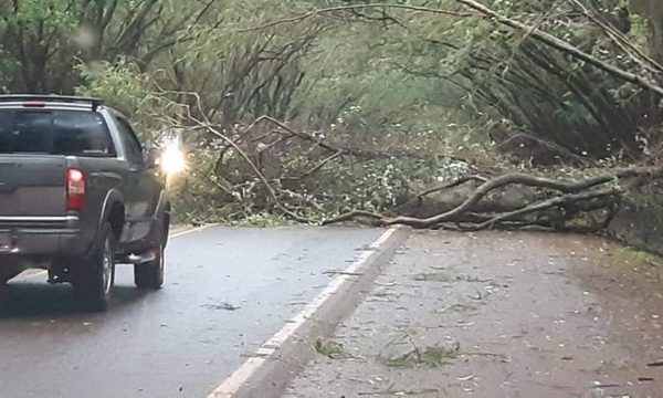 Tormenta dejó sin energía a unos 40.000 usuarios de ANDE