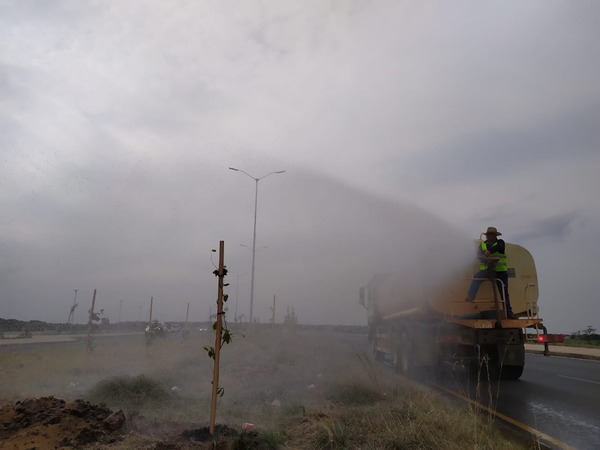 Realizan seguimiento y riego constante de árboles plantados en Costanera Norte