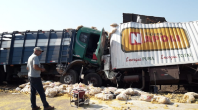 HOY / Violento choque: conducía ebrio su transganado y mató a otro conductor