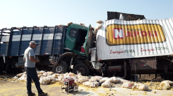 HOY / Violento choque: conducía ebrio su transganado y mató a otro conductor