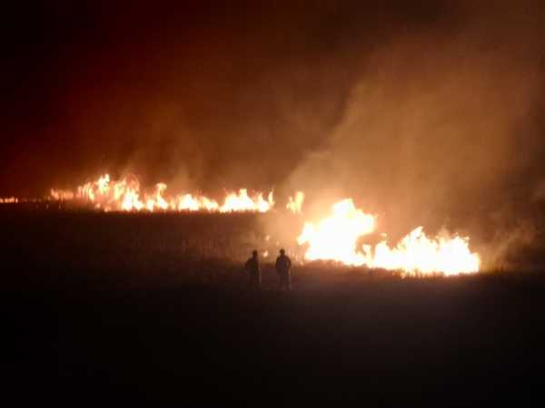 Incendio en un pastizal perjudica más de 50 hectáreas » Ñanduti