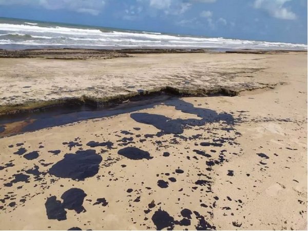 Hallan restos de petróleo en Abrolhos, cuna de ballenas en el Atlántico Sur