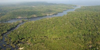 Asesinato de un guardián indígena vuelve a sacudir la Amazonía brasileña - Mundo - ABC Color