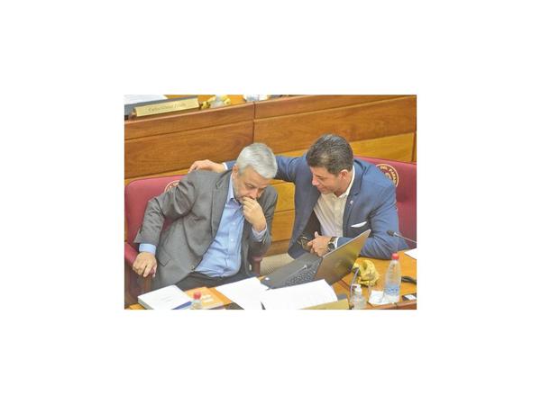 En el PLRA temen al “voto calesita”