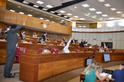 ¿Se vendrá una crisis? Bicameral aumenta presupuesto para partidos políticos | Noticias Paraguay