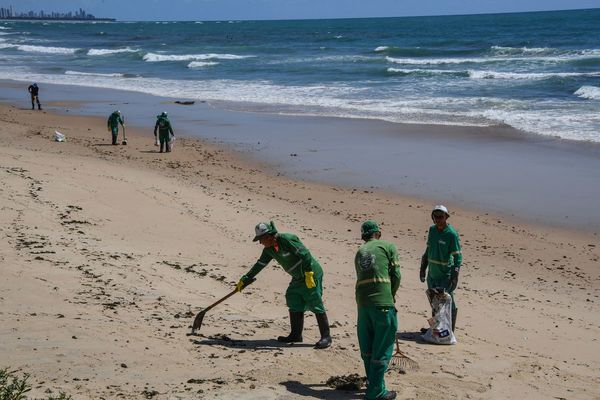 Brasileños temen que petróleo impacte el turismo, incluso tras limpieza de playas
