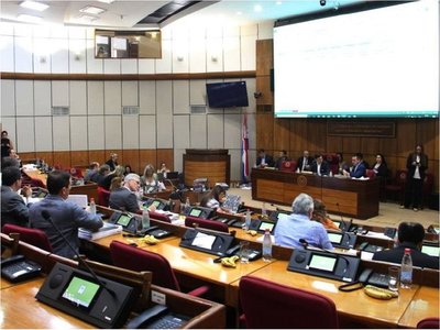 Partidos políticos se llevan USD 11 millones por año del Presupuesto
