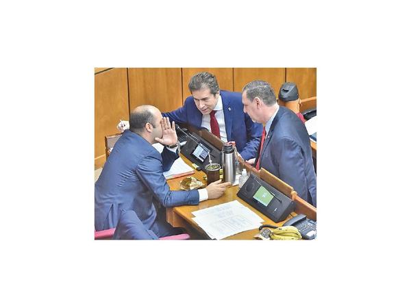 Realizan un balance de leyes antilavado en la Cámara Alta