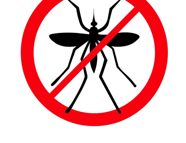 Virus del Mayaro podría circular este verano en el país