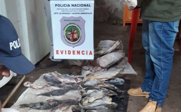 Con multas de hasta 5.000 jornales arranca hoy la veda pesquera