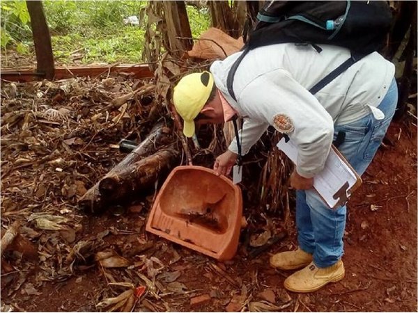 Paraguay supera los 10.000 casos de dengue este año, según Salud