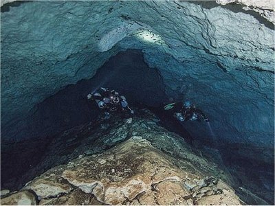 Hallan enormes dientes de tiburón en el Golfo de México