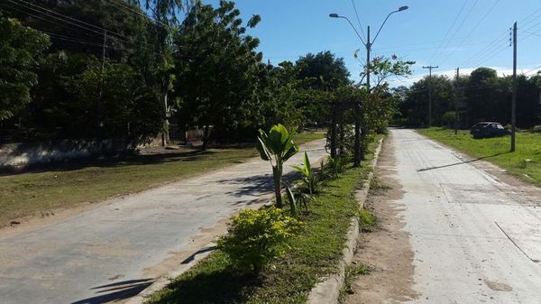 Sensación térmica de 45ºC y no hay electricidad en Alto Paraguay - Nacionales - ABC Color