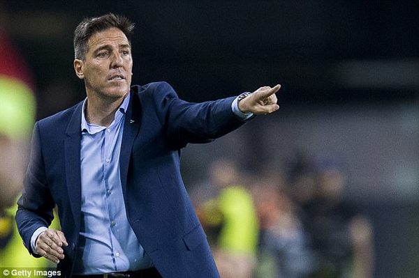 Eduardo Berizzo, DT de Paraguay: 'Vamos dando pasos seguros'