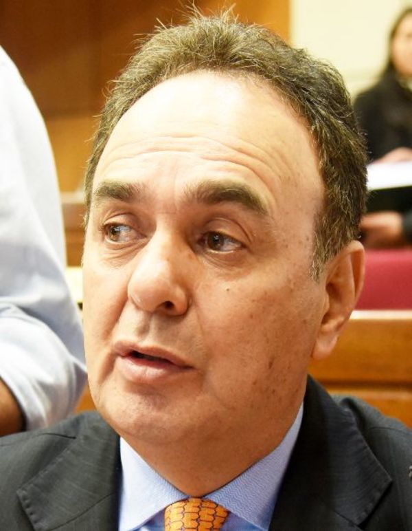Cartista Monges cree que habrá confusión - Política - ABC Color