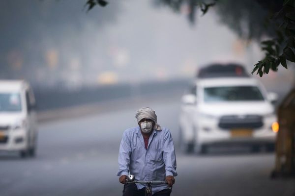 Nueva Delhi: Millones de personas bajo neblina