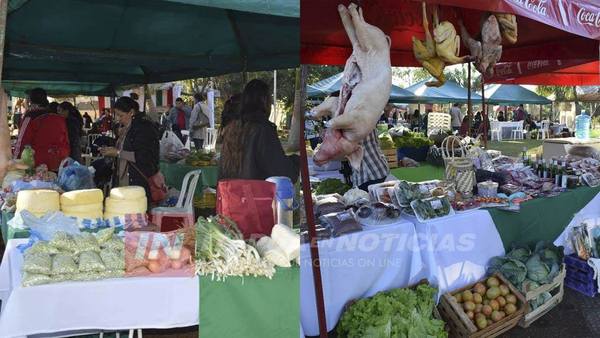 PREPARAN FERIA GASTRONÓMICA Y HORTÍCOLA PARA ESTE VIERNES EN LA GOBERNACIÓN