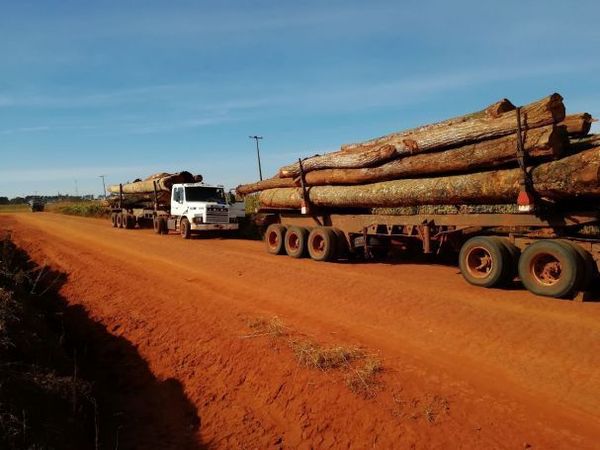 Rollo-tráfico: anuncian control estricto en las rutas ante deforestación progresiva - ADN Paraguayo
