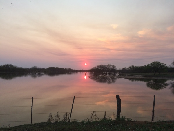 Jornada cálida con precipitaciones y tormentas