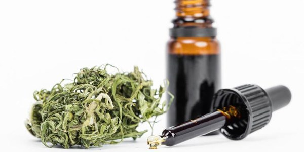 GOBIERNO OTORGARÁ CINCO LICENCIAS PARA PRODUCCIÓN DE CANNABIS MEDICINAL