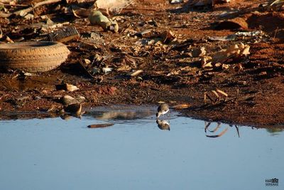 Piden a municipalidades recolectar basura de ríos afectados por bajante