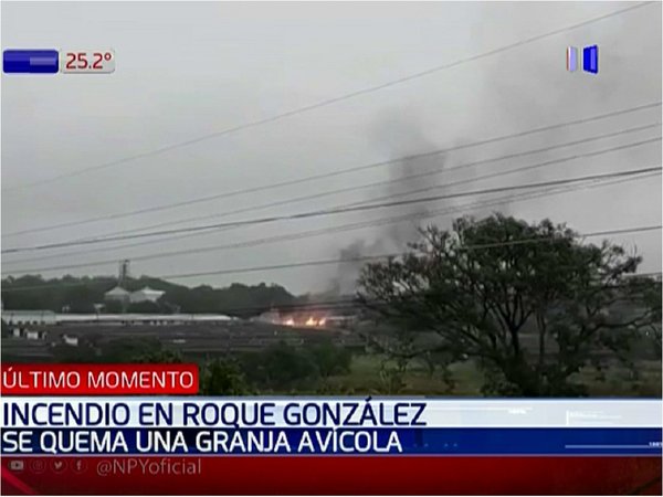 Incendio de gran magnitud afecta a granja avícola en Roque González
