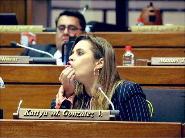 Diputada denuncia que quieren ocultar el presupuesto del Parlasur