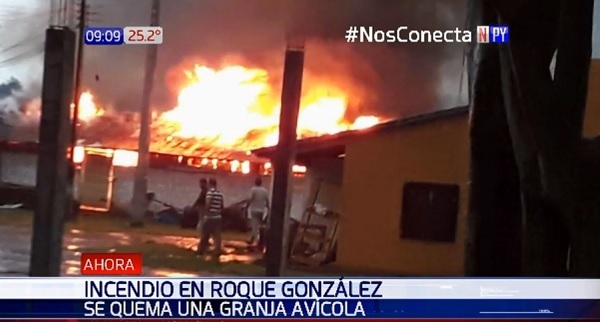 Fuego consume granja avícola en Roque González