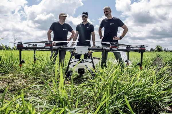 Asfixiar al mosquito: el uso pionero de drones contra la malaria - Mundo - ABC Color