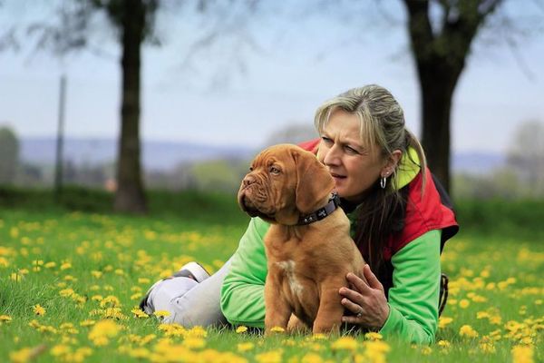 Con la caninoterapia, el cariño de un perrito ayuda a salvar vidas - Periodismo Joven - ABC Color