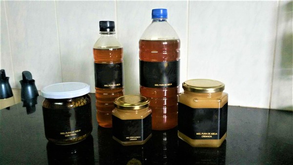 Tres claves que hacen del Pilcomayo una cuenca para la producción de miel