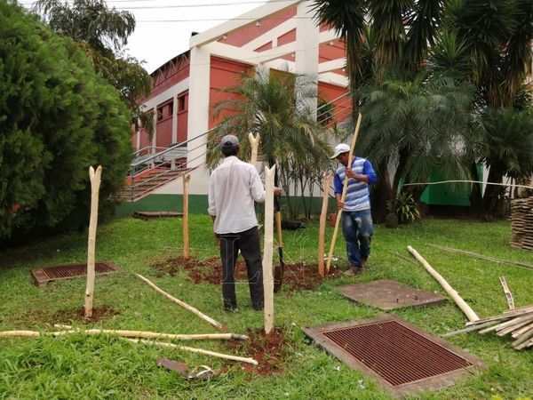 Gobernación de Itapúa prepara pesebre artesanal mbya