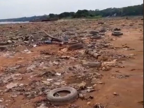 Bajó el río y dejó la prueba de los puercos