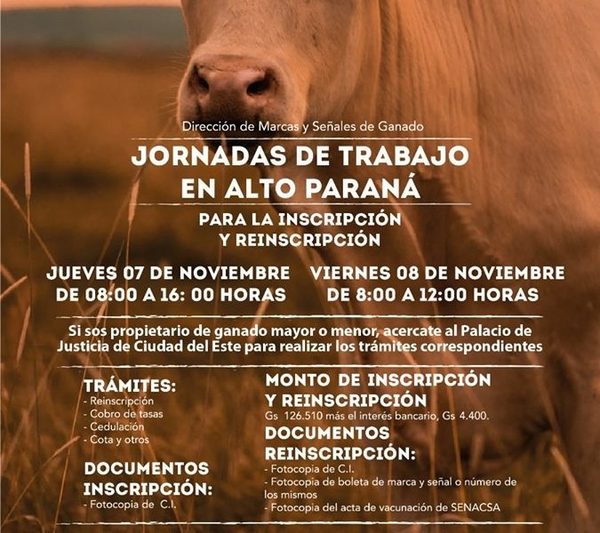 Inscripción y reinscripción de ganado en Alto Paraná