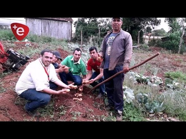 ITAPÚA APUESTA POR LA PRODUCCIÓN DE PAPA PARA EL 2020