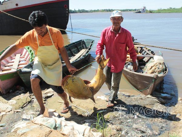 Veda pesquera: ante faltas, aplicarán multas de hasta G. 843 millones
