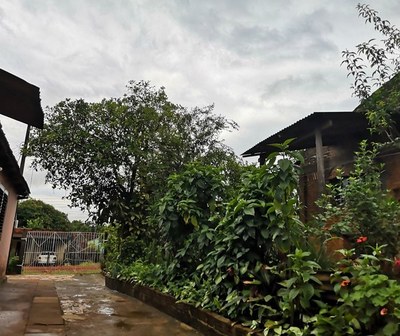 Precipitaciones con ocasionales tormentas eléctricas