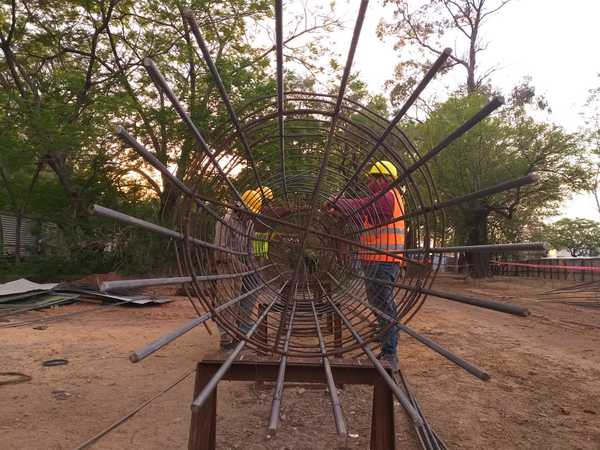 Corredor Vial Botánico avanza con 43 pilotes construidos