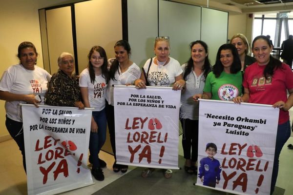 Diputados dan media sanción a la denominada "Ley Lorelí" » Ñanduti