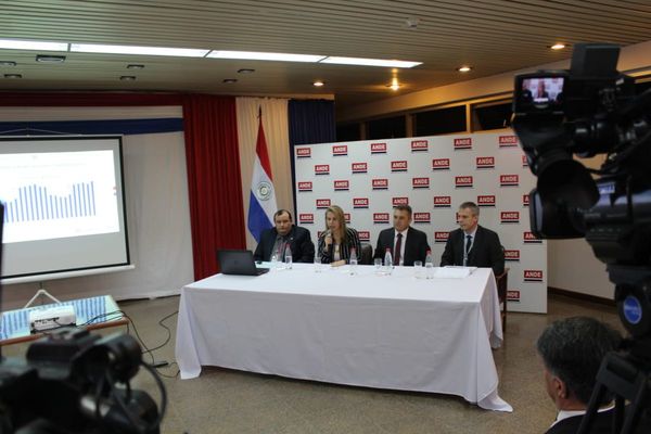 Factura fija y simulador de consumo, nuevos servicios de ANDE para la industria