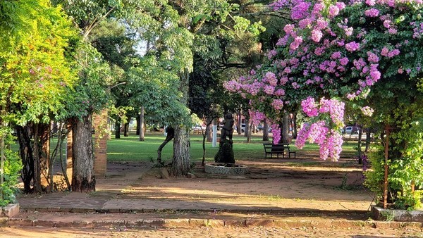 Cielo parcial nublado y mucha humedad en el ambiente en Misiones - Digital Misiones