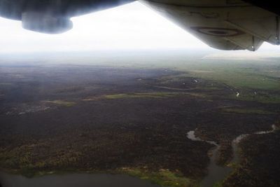 ¿Qué pasó en el Pantanal paraguayo? - Notas - ABC Color