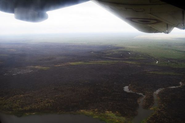 ¿Qué pasó en el Pantanal paraguayo? - Notas - ABC Color